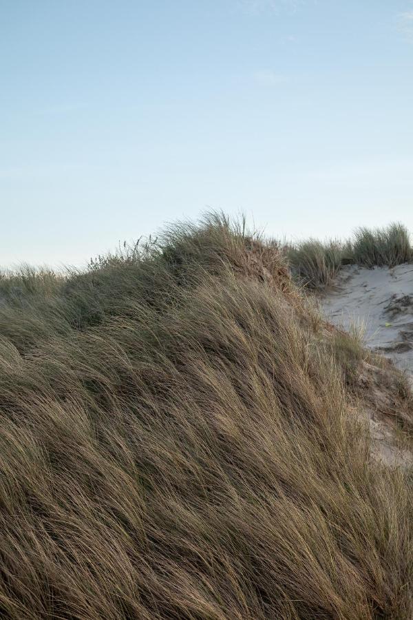 Grande Maison A Deux Pas De La Mer Bray-Dunes Eksteriør bilde
